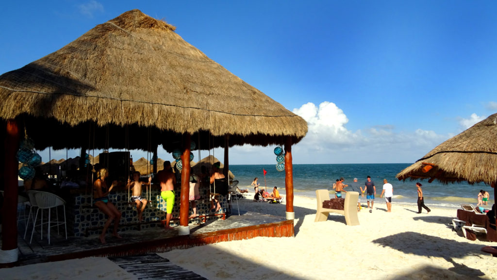 Build a Palapa Dave McBride