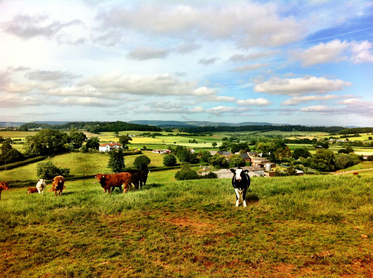 The Wivey Way, A 20 Mile Circular Walk Around Somerset