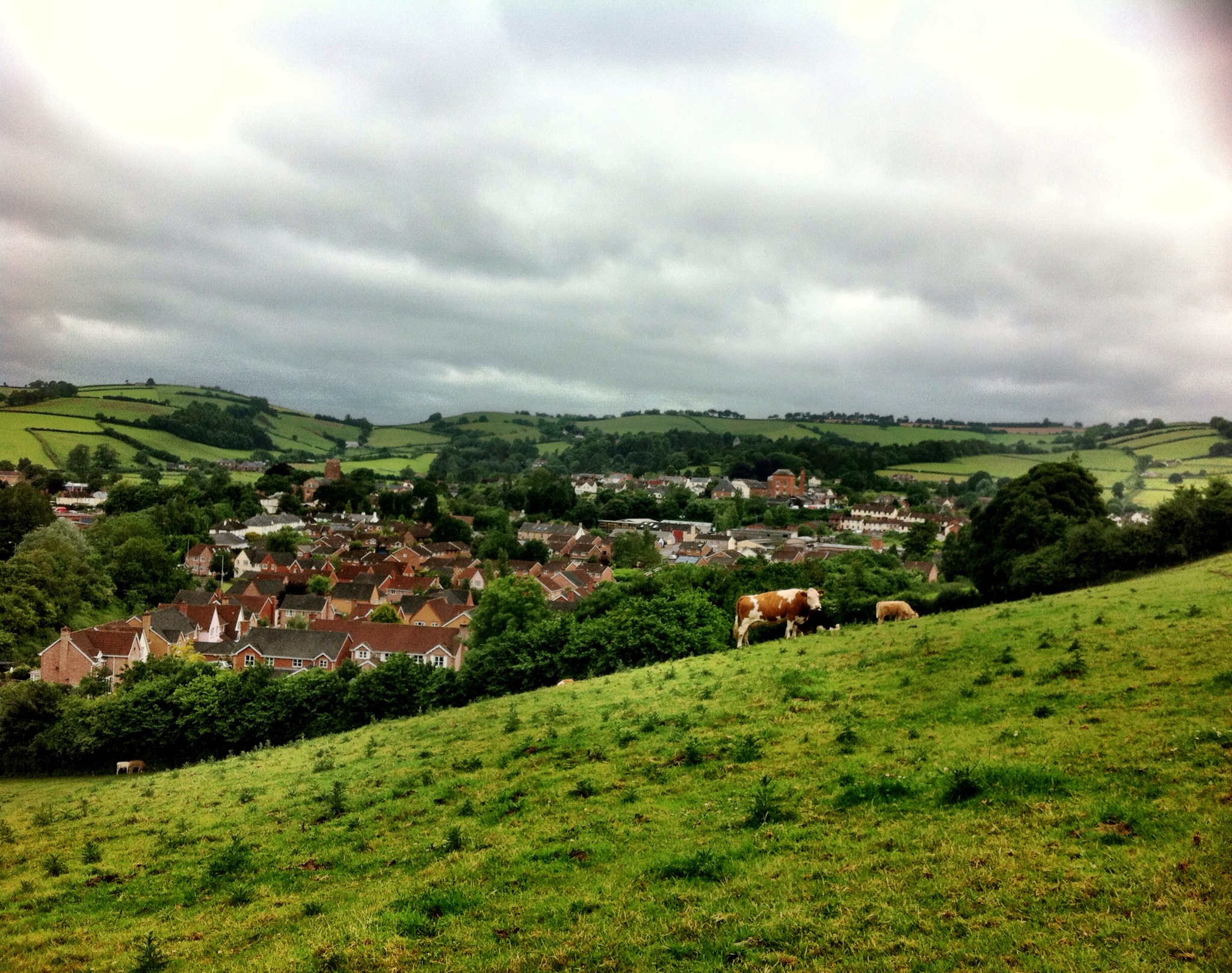 Walking Into Dave Meehan