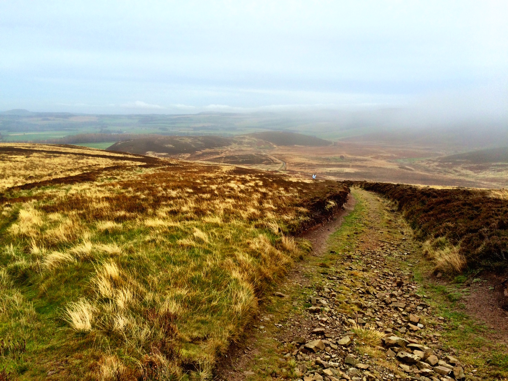 Lammer Law, Lammermuir Hills Dave Meehan
