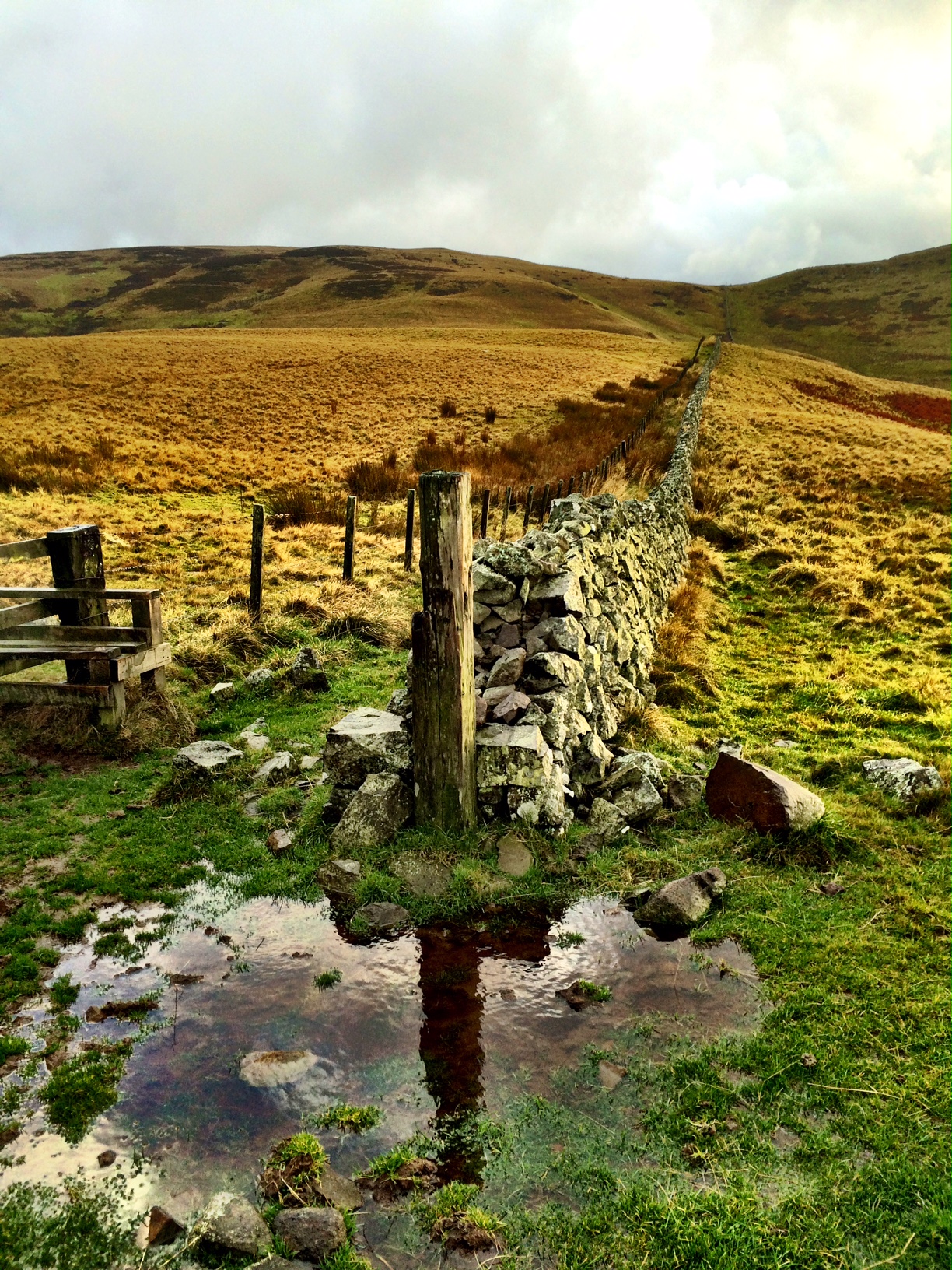 The Cheviot Hills Dave Meehan