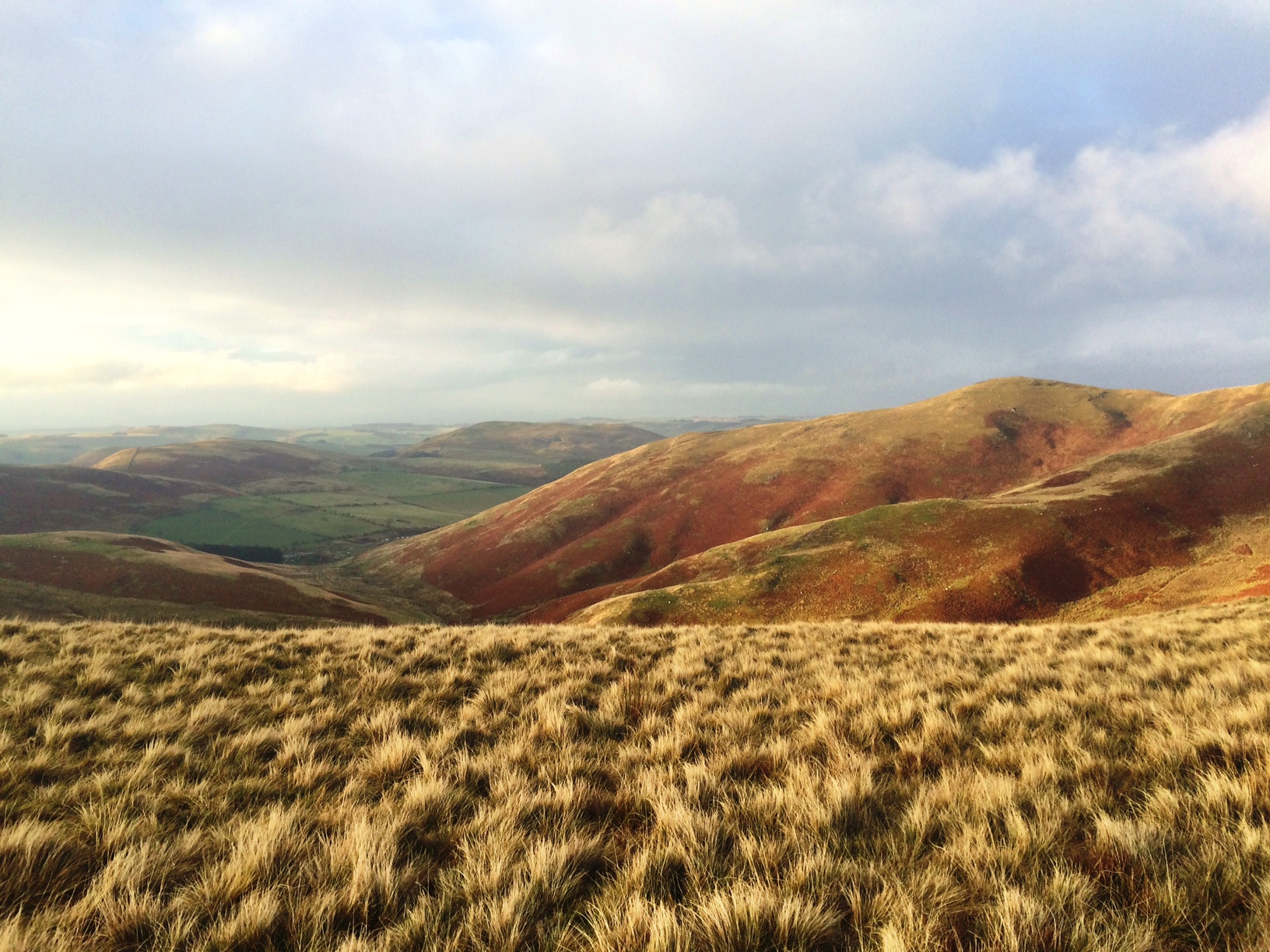 The Cheviot Hills Dave Meehan