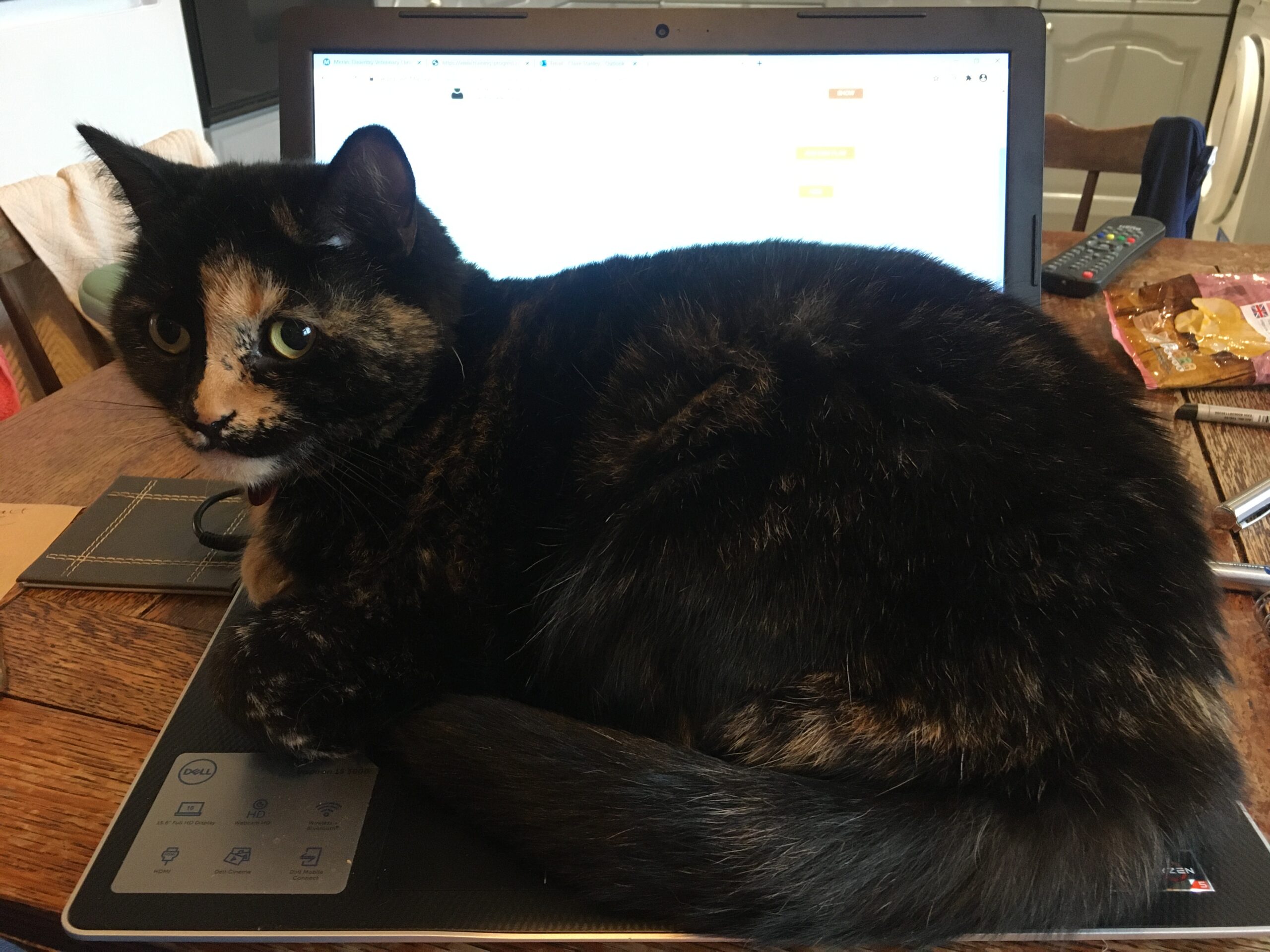 Sweets Daventry Vets