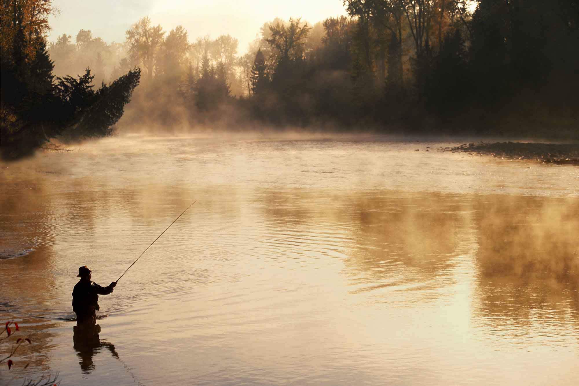 Dave's Tackle Repair N' More