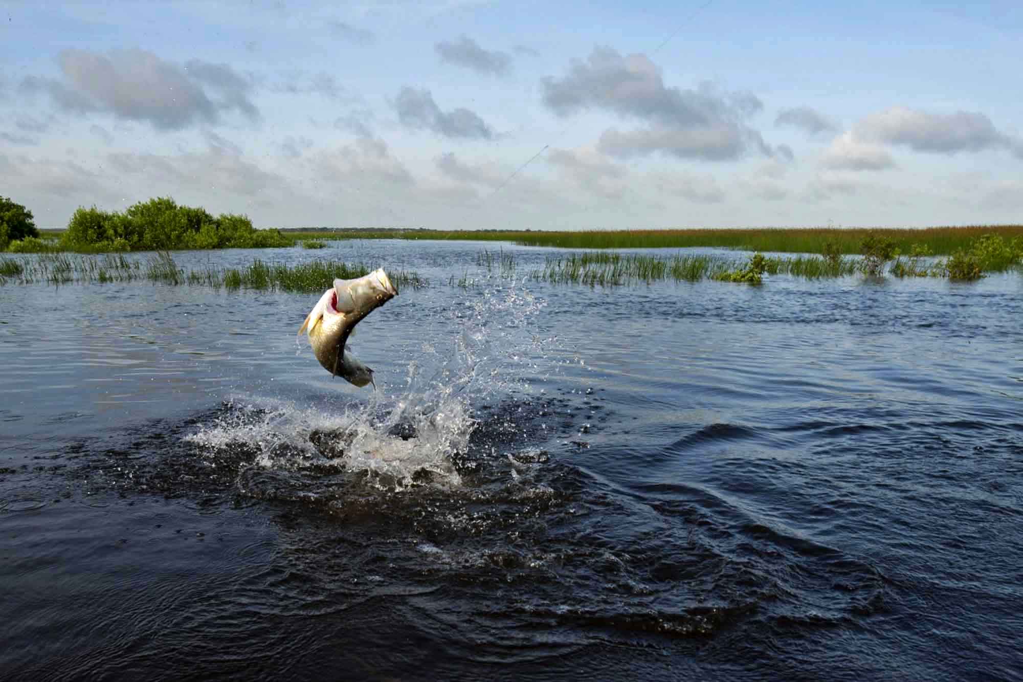 Dave's Tackle Repair N' More