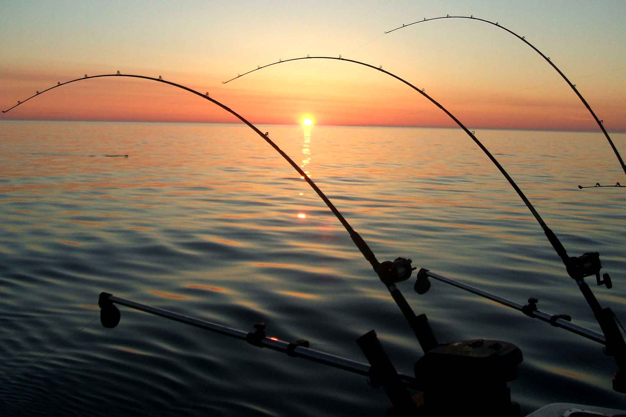 Dave's Tackle Repair N' More