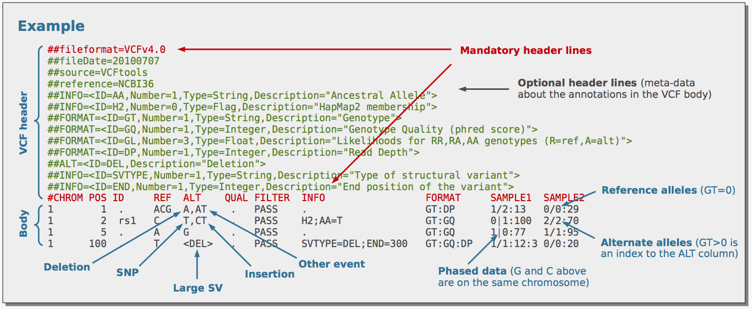 Learning the VCF format