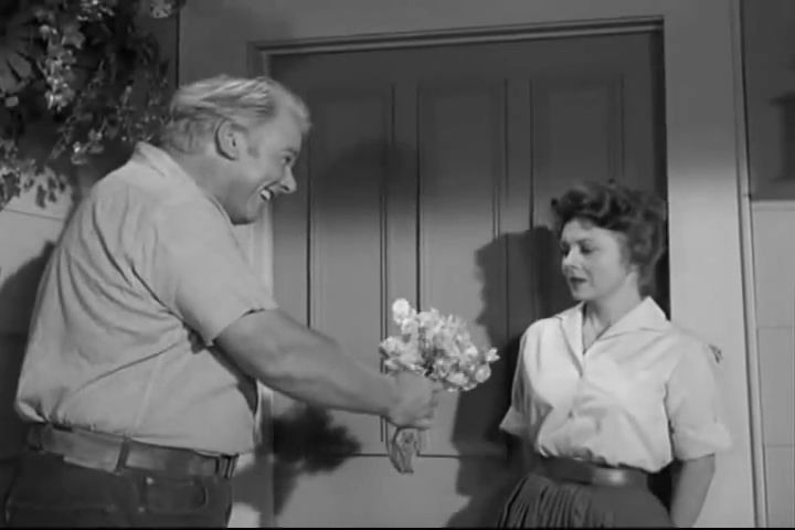 The Many Love Affairs of The Andy Griffith Show