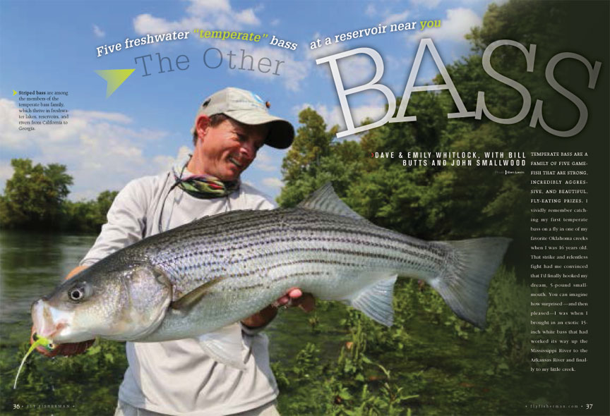 Temperate Bass Dave & Emily Whitlock