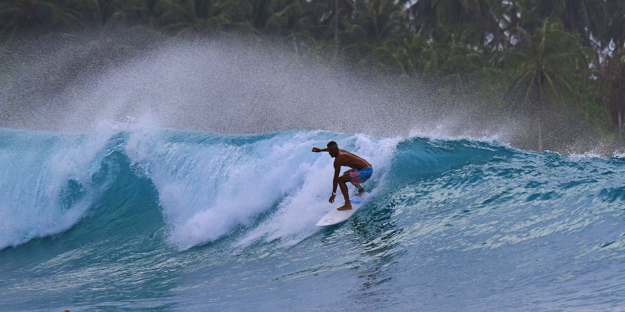 DaveySKY Surfboards Finest Quality Custom Surfboards Local New