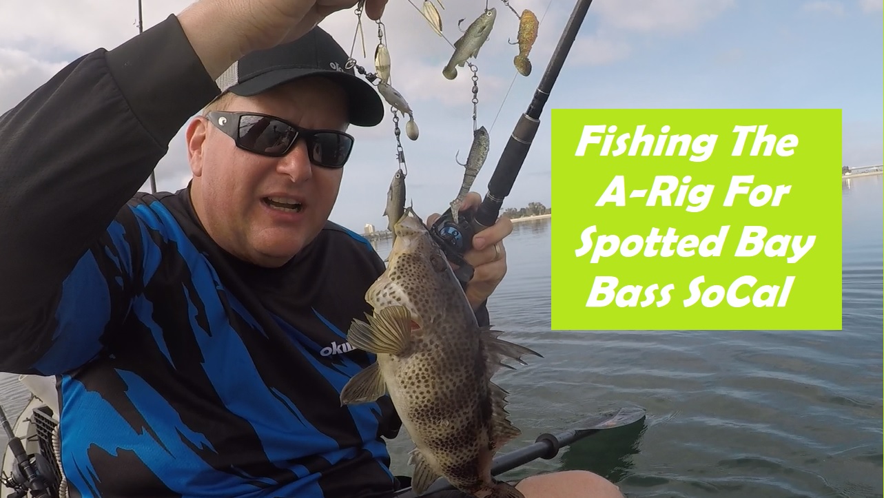 Alabama Rig For Saltwater Bass? Davey's World