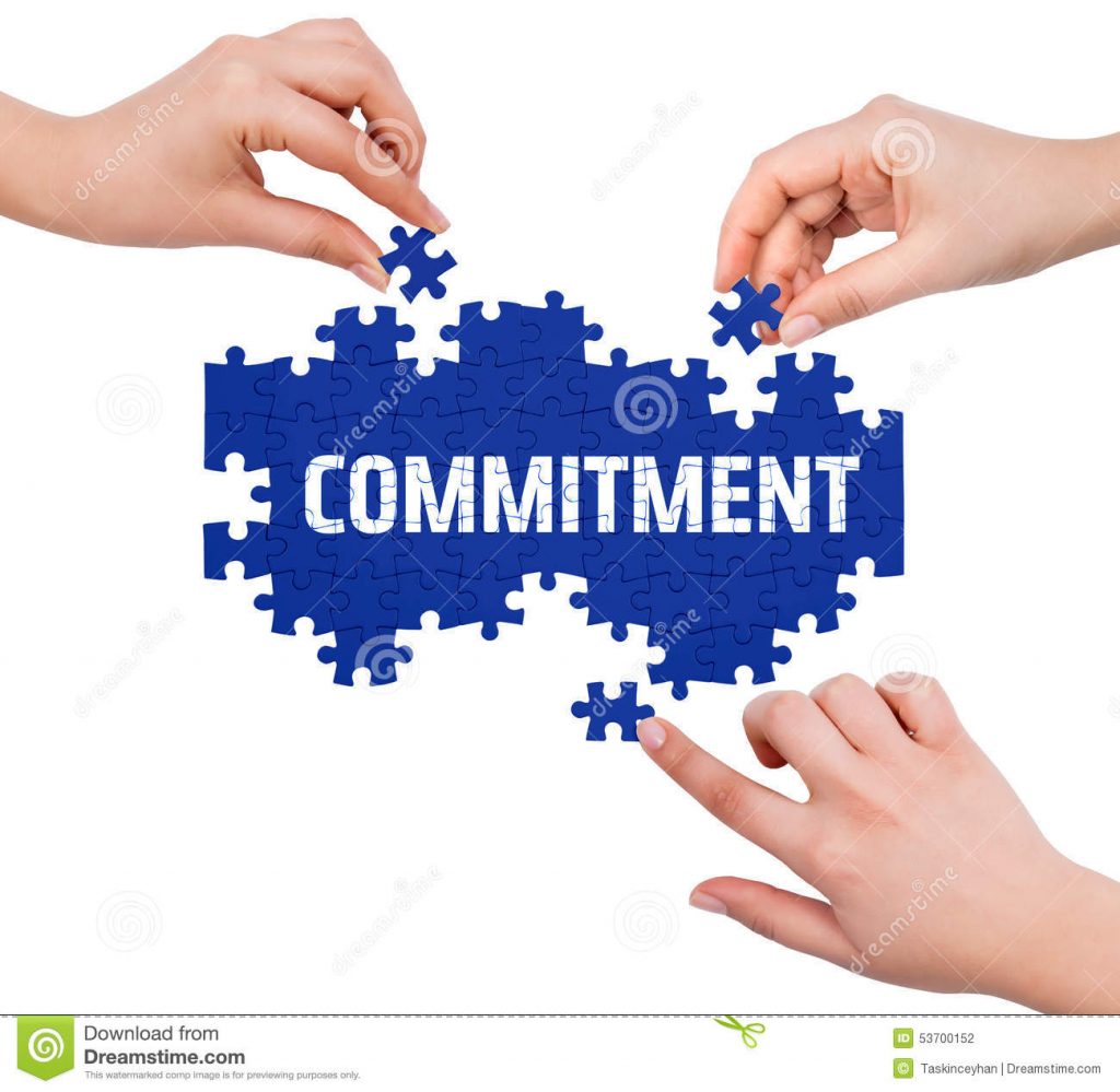 Strategy Execution - Without Organization-Wide Commitment – Don’t Even