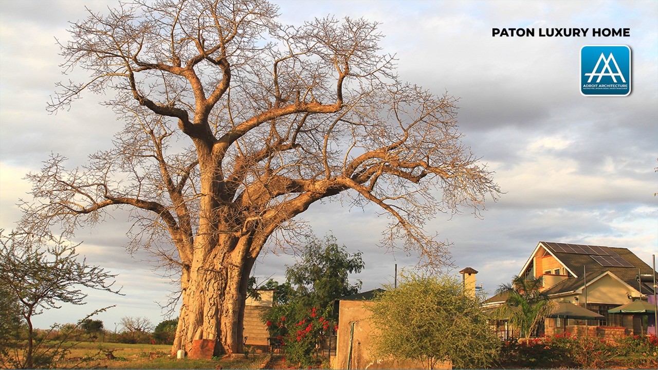 Paton Iowa Homes For Sale at Alfred Carrier blog