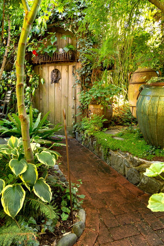 Garden Oasis David Coulson Design