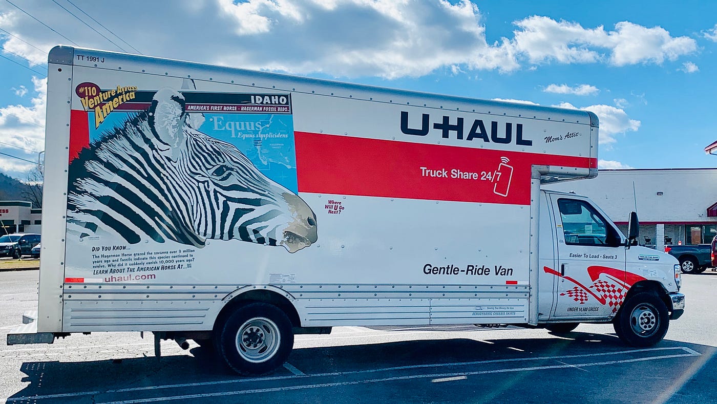 The Zebra and the UHaul...(Part Five) David Daniel Books