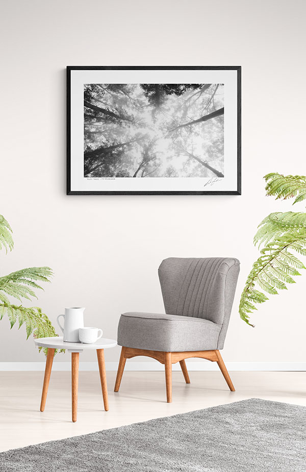 Buy Framed Misty Trees Wall Art Photography In Australia David Eastham