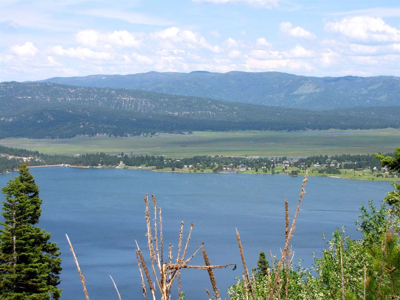 Anderson Creek » David Ferdinand