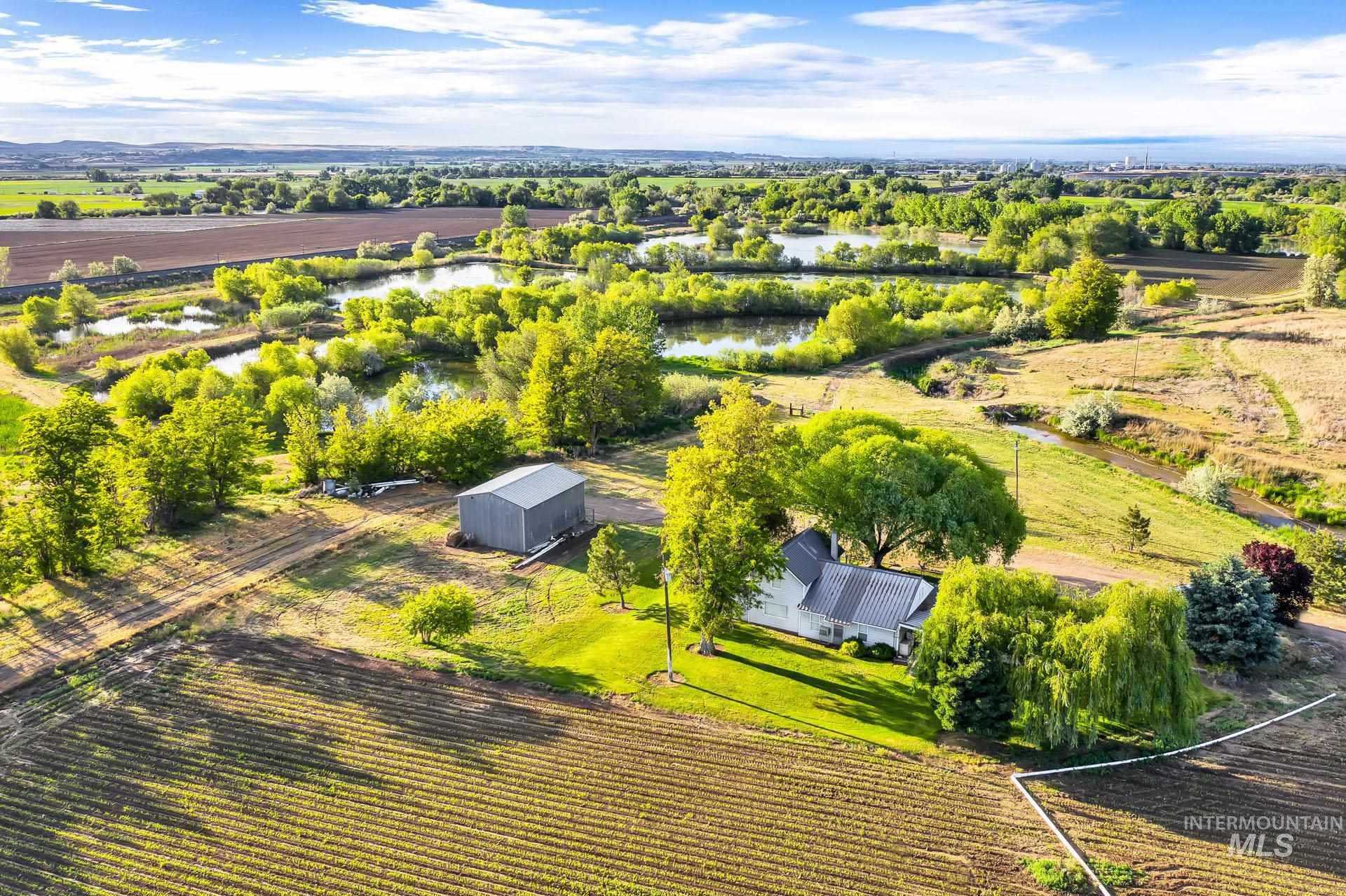 River Springs Ranch » David Ferdinand