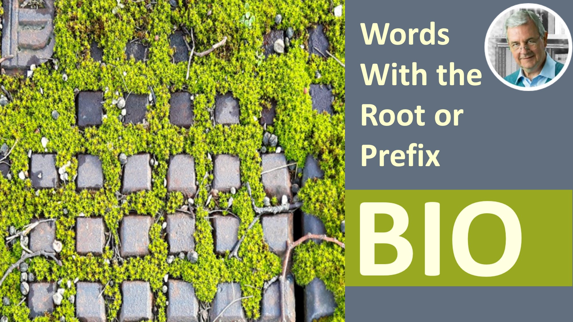 Words With the Root or Prefix BIO