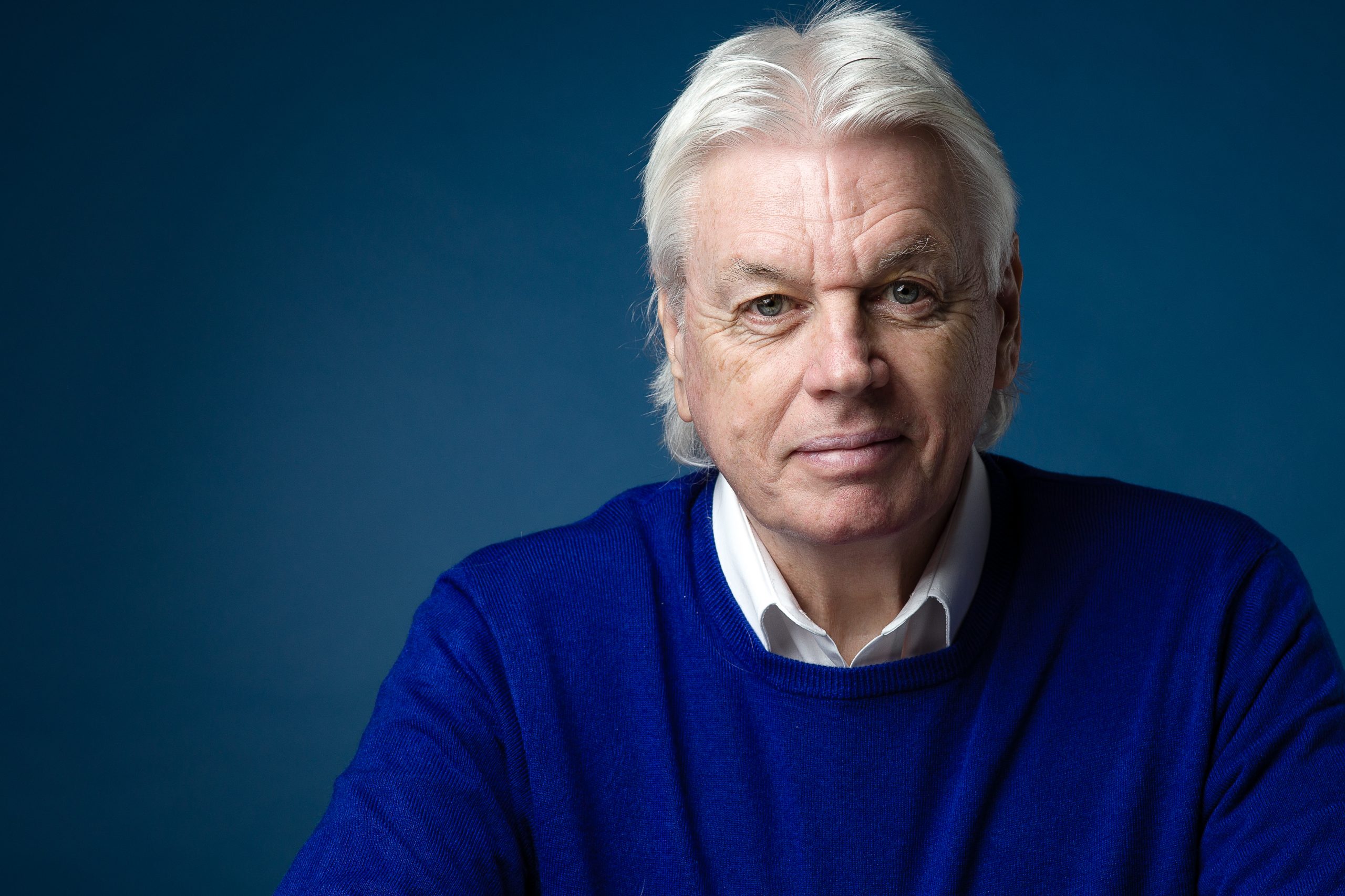 The Answer David Icke Pdf / Y LA VERDAD OS HARA LIBRES DAVID ICKE PDF