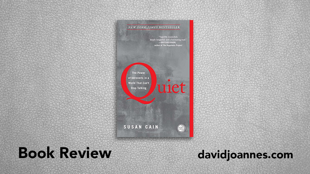 Quiet book review David Joannes