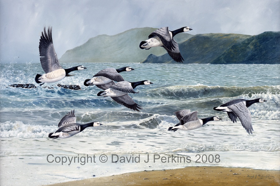 David Perkins Wildlife Artist
