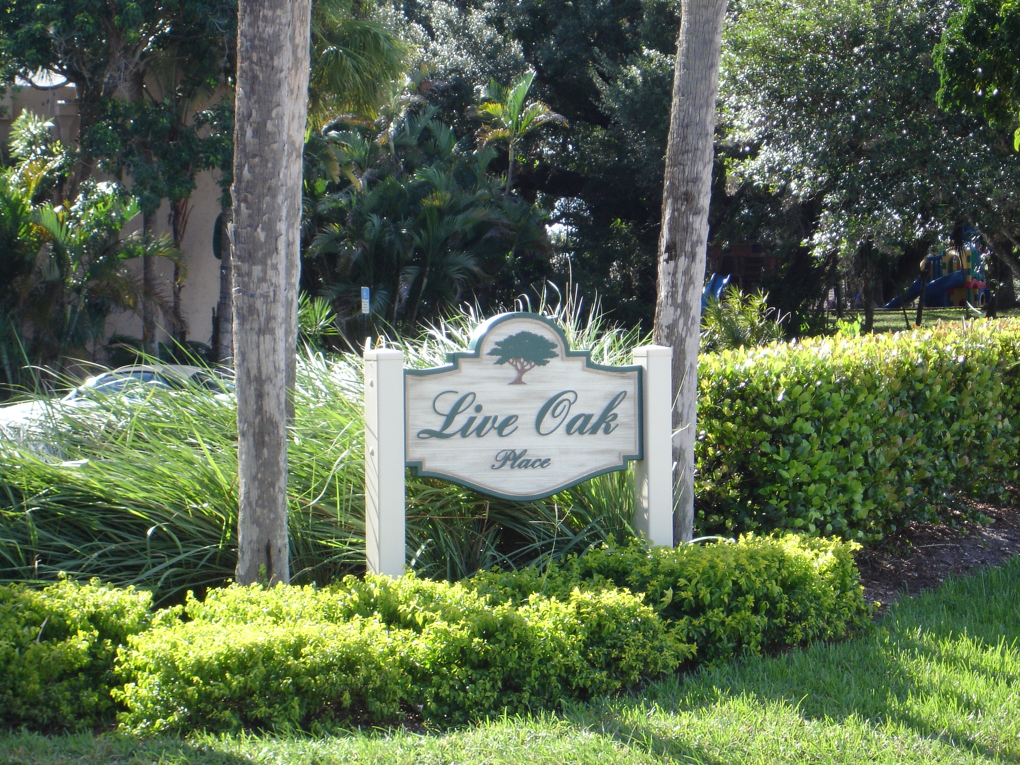 Live Oak at Pine Island Ridge Davie Florida 33324 David J Rogers