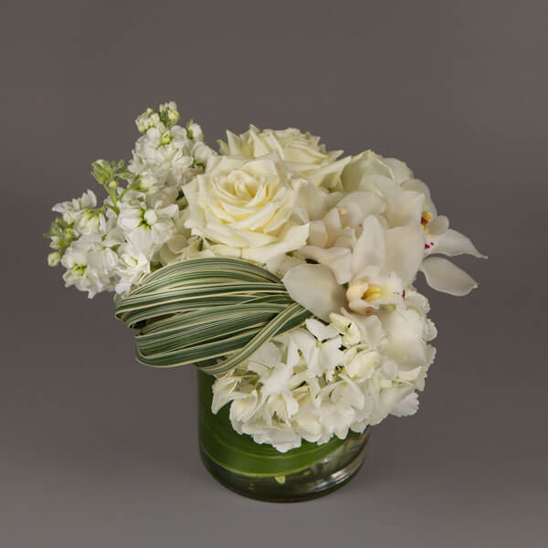 White Cloud David Kurio Designs