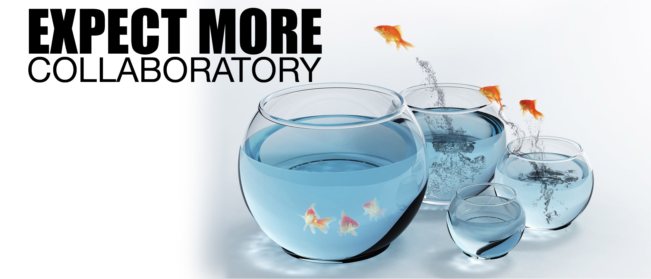 FishBowl R. David Lankes