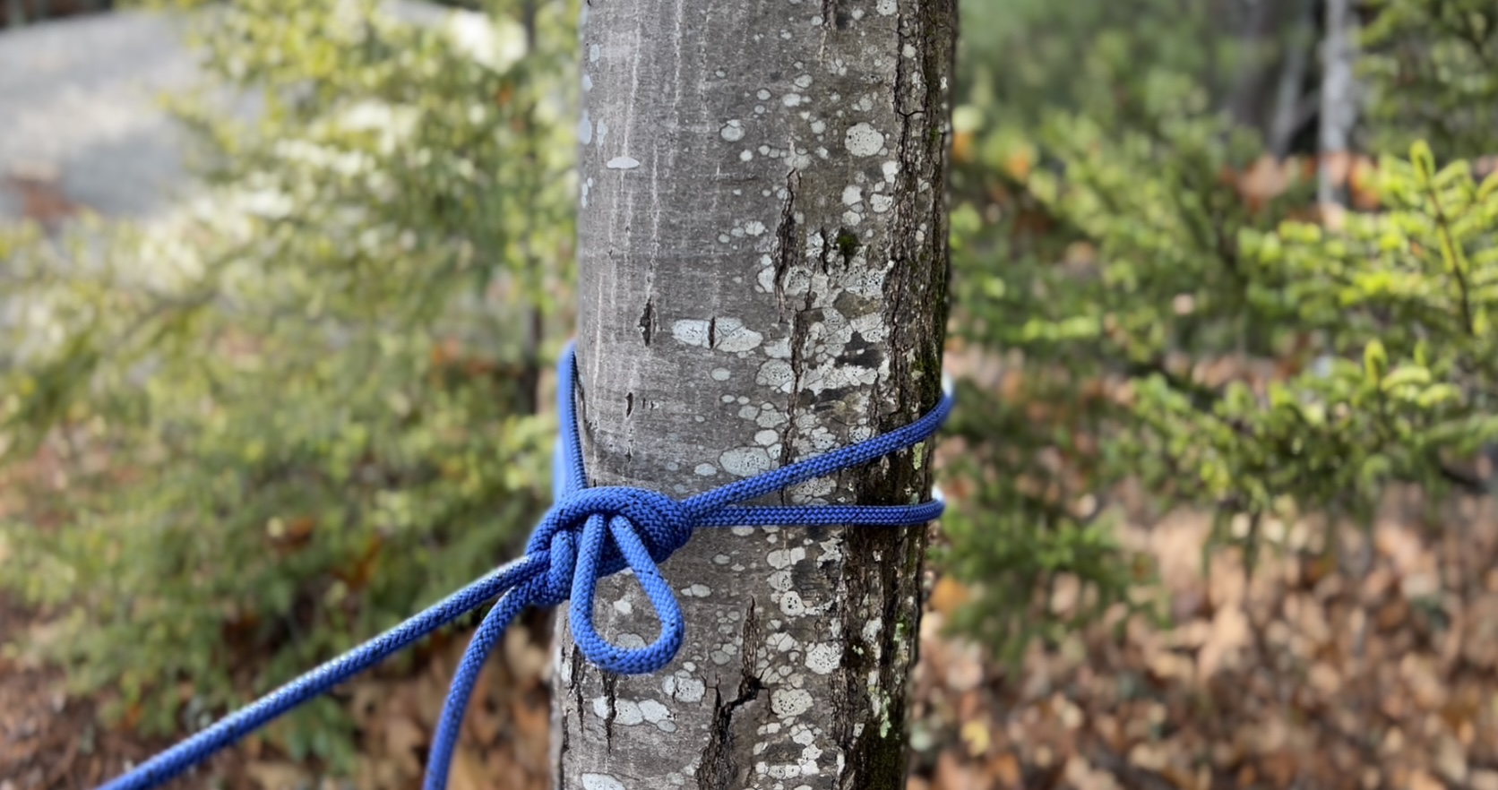 Tech Tip Buntline Hitch Northeast Alpine Start