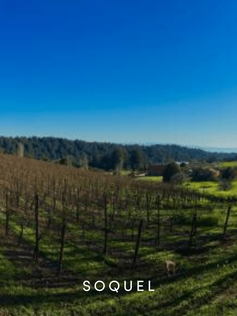 Aptos Tour David Lyng Real Estate