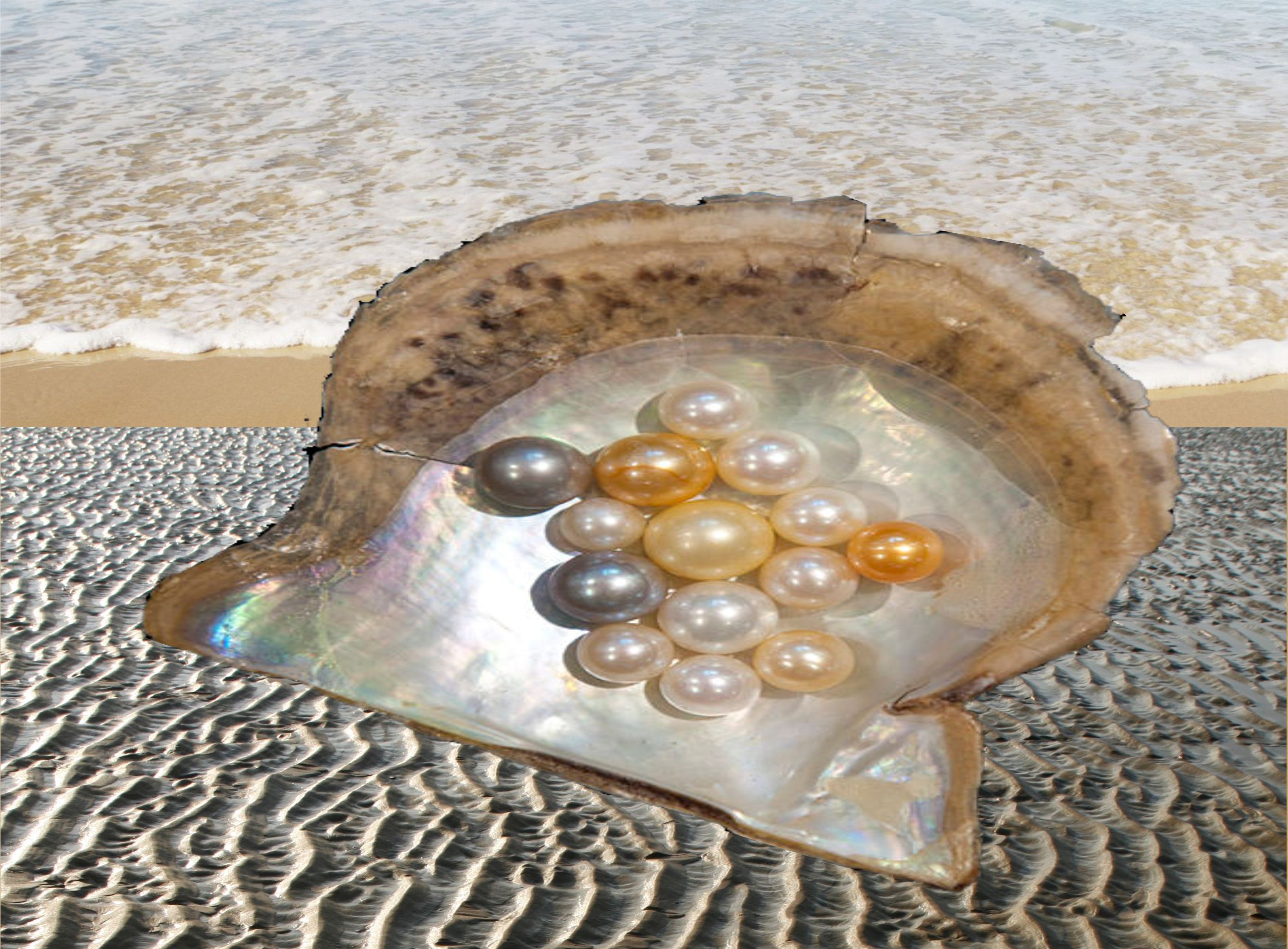 ‘pearls’….. from the entire Holy Bible (KJV) TechSci Manual Maker