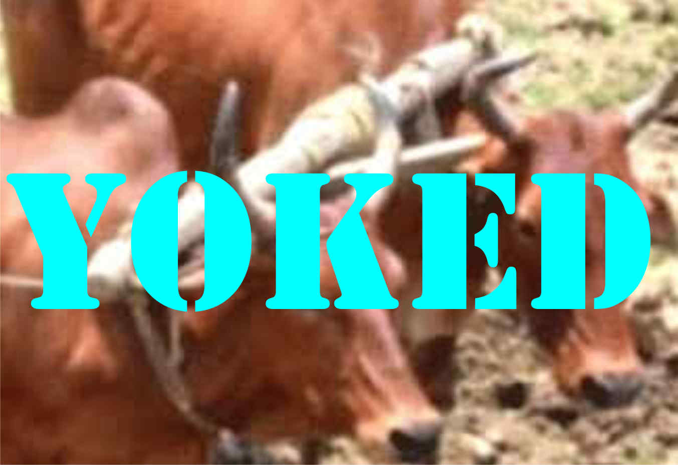 “yoked” …. ONLY Verse in The Holy Bible (KJV) TechSci Manual Maker