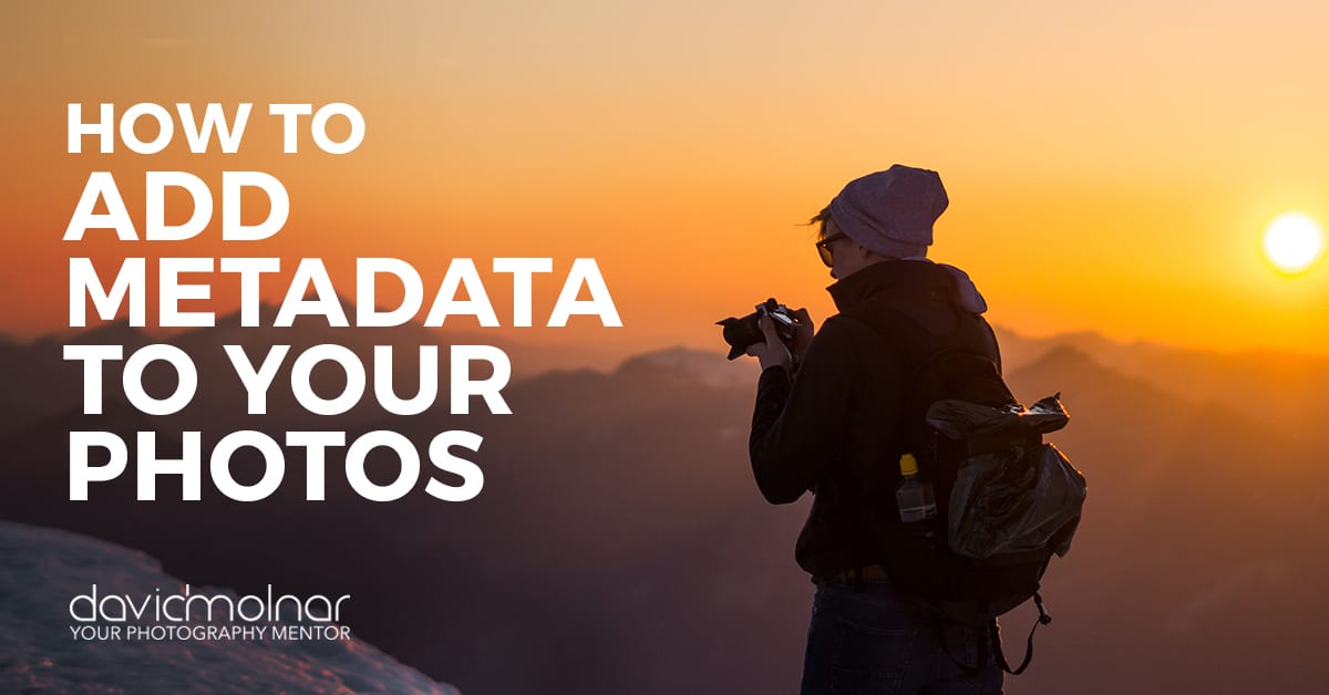 How to Add Metadata to Your Photos David Molnar Your Photography Mentor