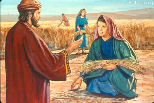 El Libro de Rut Renueva la Virtud de la Esperanza David Nesher Blog
