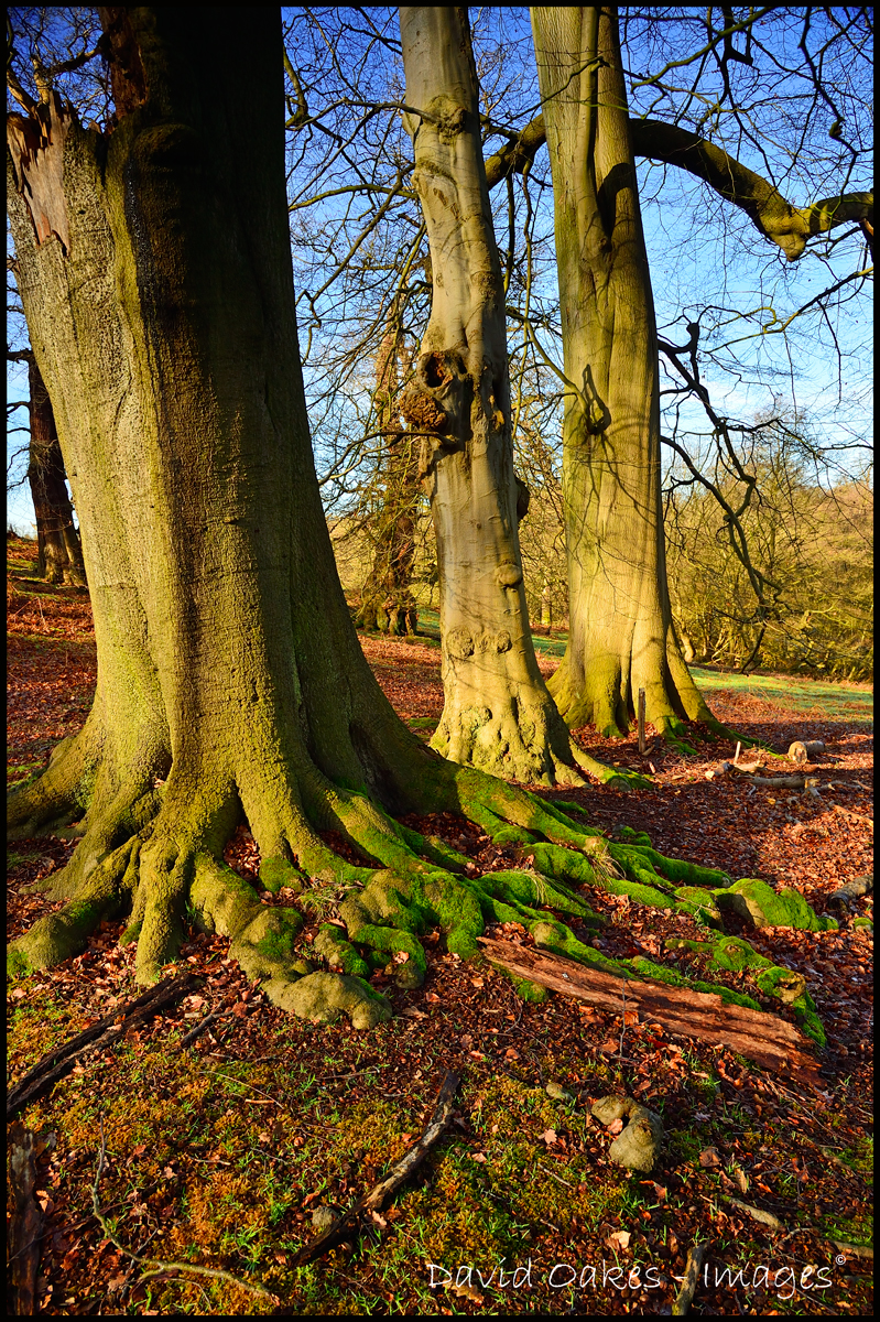 The Weather is too good to waste…. DAVID OAKES IMAGES.