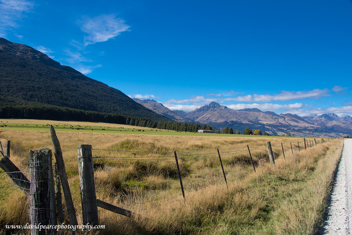 Pasture Land, Glenorchy, Queenstown, New Zealand David Pearce Photography