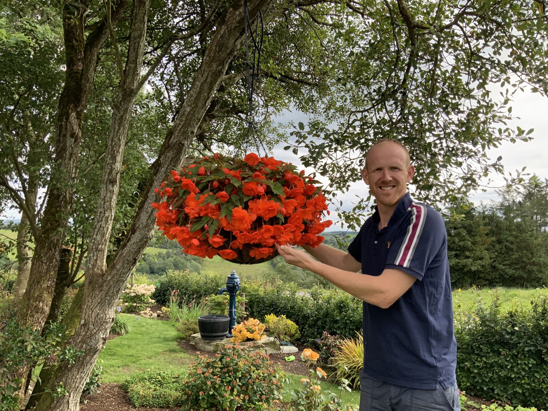 Hanging Basket Planting Guide coming soon David Perry Gardens
