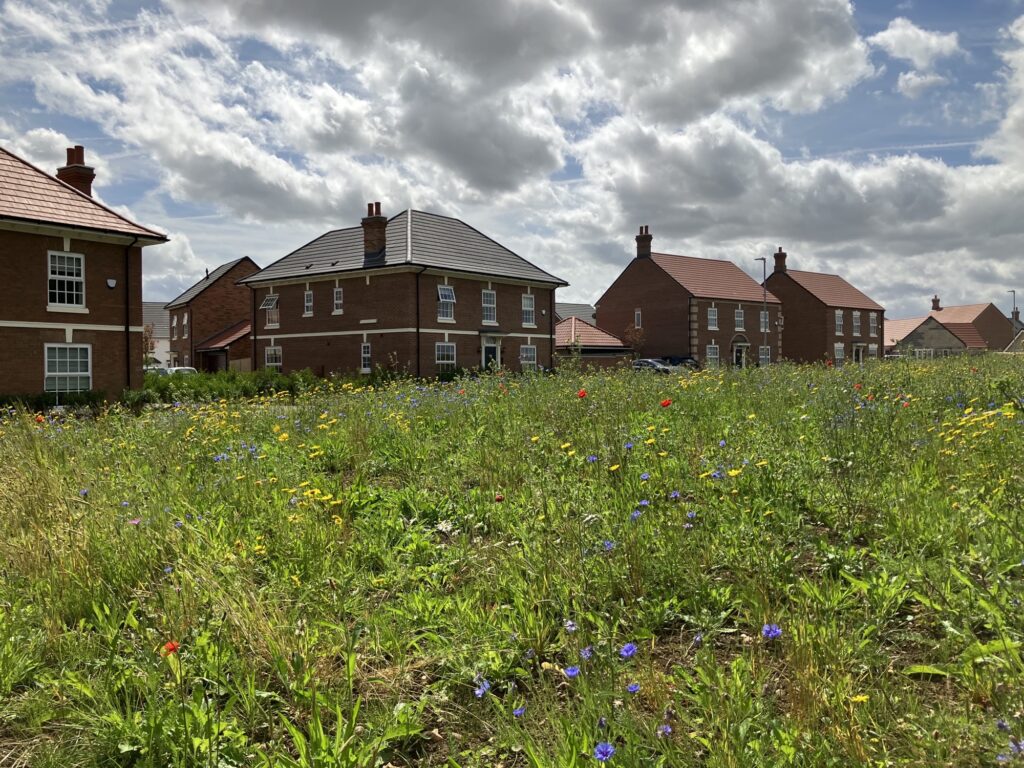 Woodlands Rest New Homes in Shefford Davidsons Homes