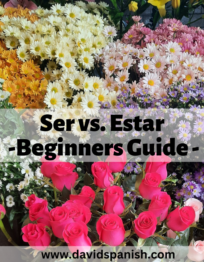 Ser vs. Estar | DavidSpanish.com