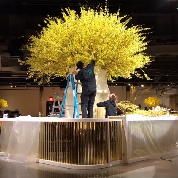 David Stark Design and Production