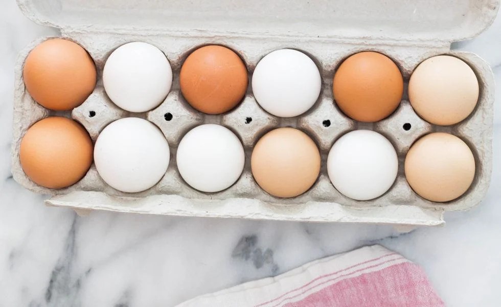 Choose eggs from happy chickens David Suzuki Foundation