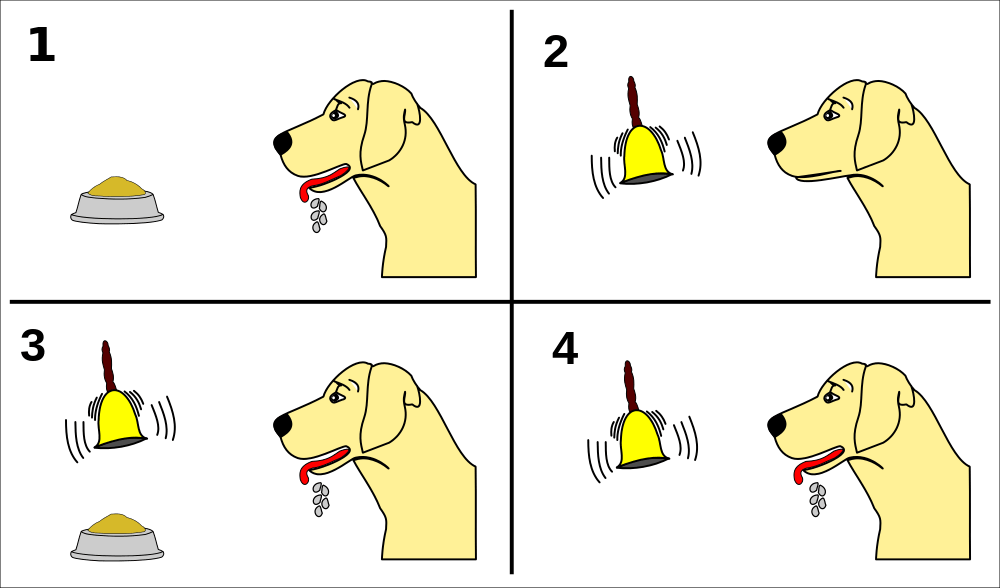 Classical Conditioning for Peace Let's Try Democracy