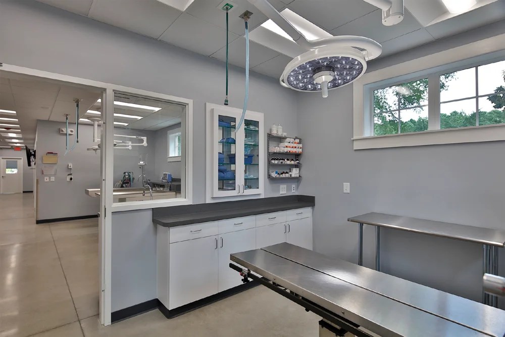 Lake Pine Animal Hospital Davie Construction