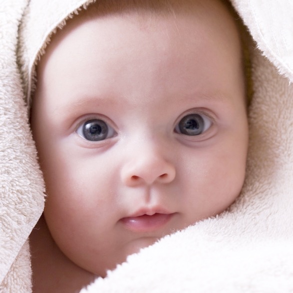 Donor Egg ServicesOLD Davies Chicago Fertility