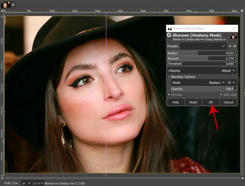 GIMP's Sharpen (Unsharp Mask) Filter for Sharpening Photos Davies