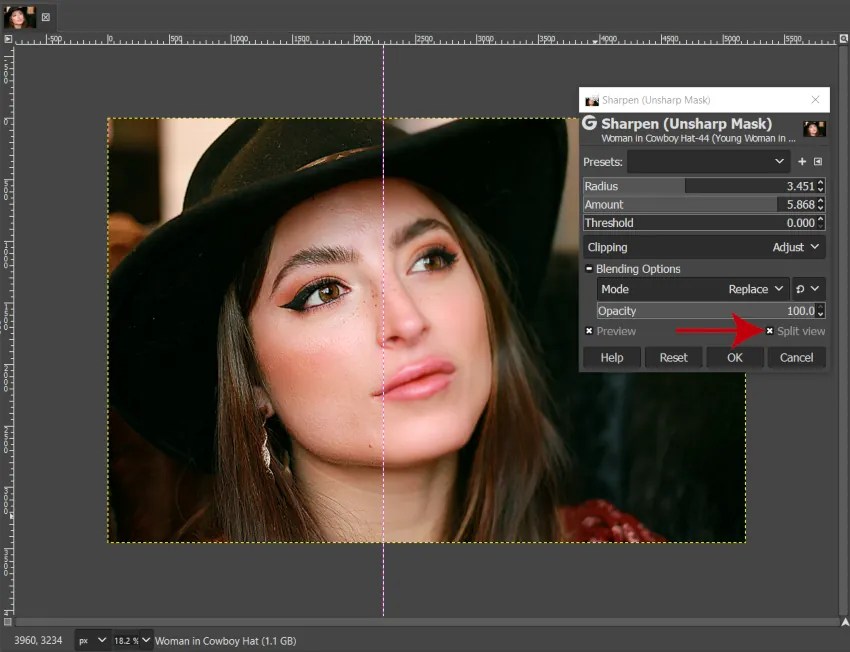 GIMP's Sharpen (Unsharp Mask) Filter for Sharpening Photos Davies