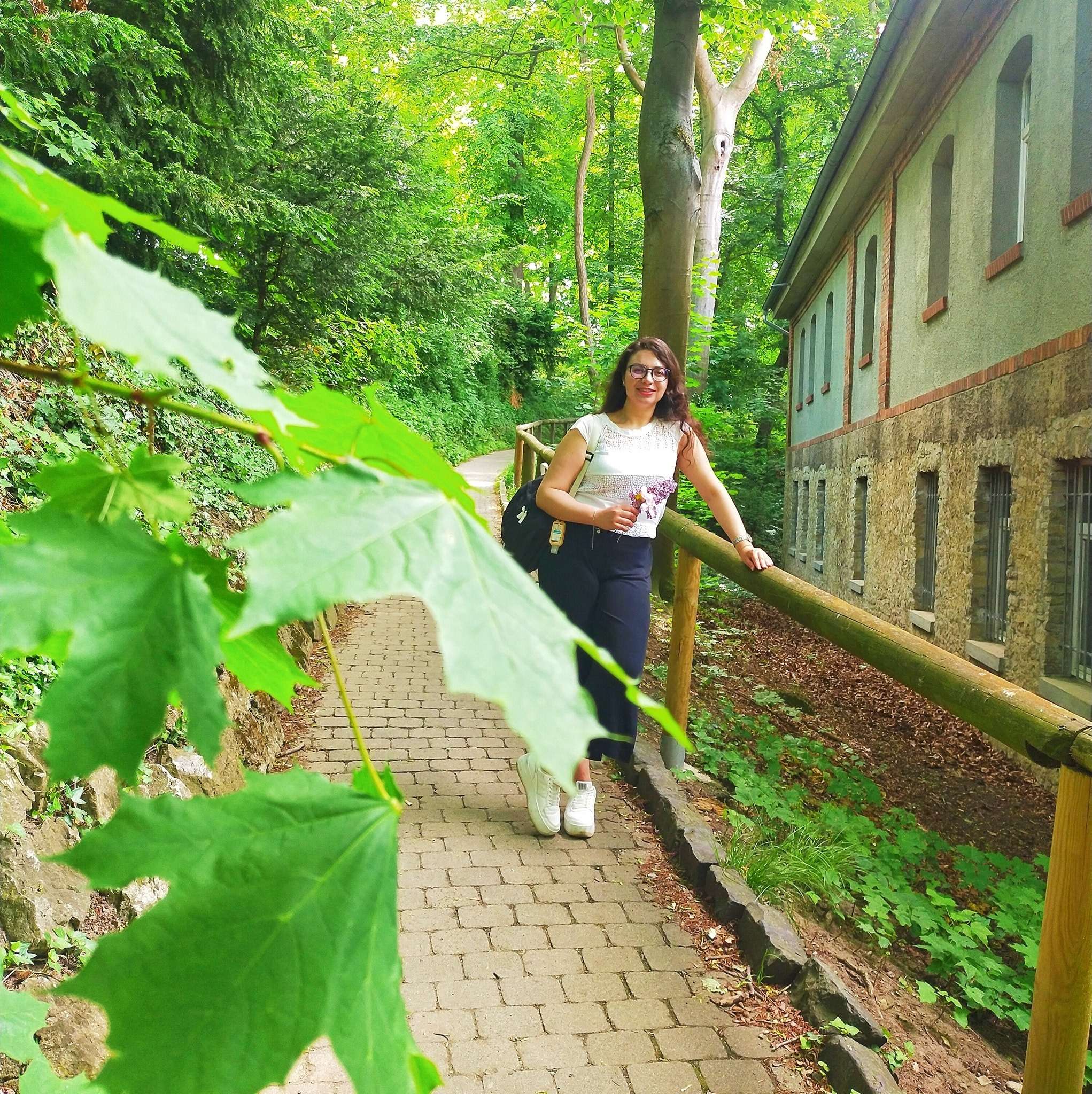 Looking for an apartment for rent in Berlin or a room in a female shared flat DaviNews Real estate