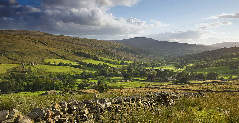 Home Davis & Bowring Leading Estate Agents, Sporting Agency, Rural