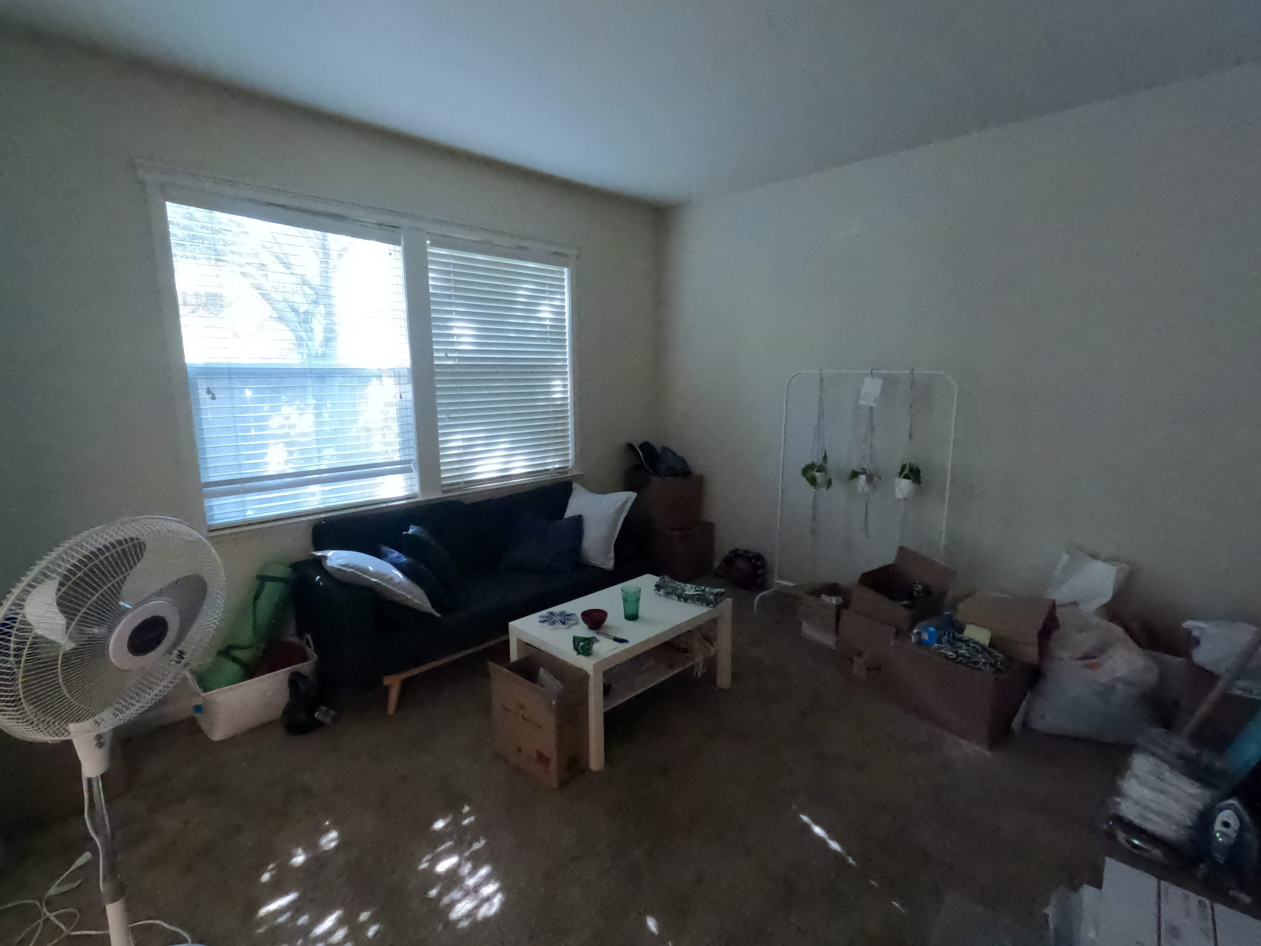 4630 Cowell Blvd Dowling Properties